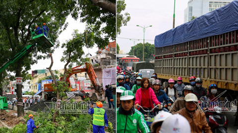 Hà Nội đốn nghìn cây, đường Phạm Văn Đồng tắc cứng