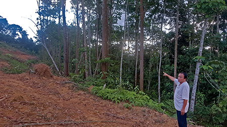 Điện Biên: Đền bù 1m2 đất chưa bằng bát phở