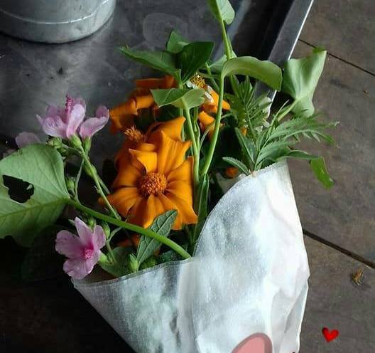 Quà độc có một không hai các ông chồng tặng vợ ngày 20/10