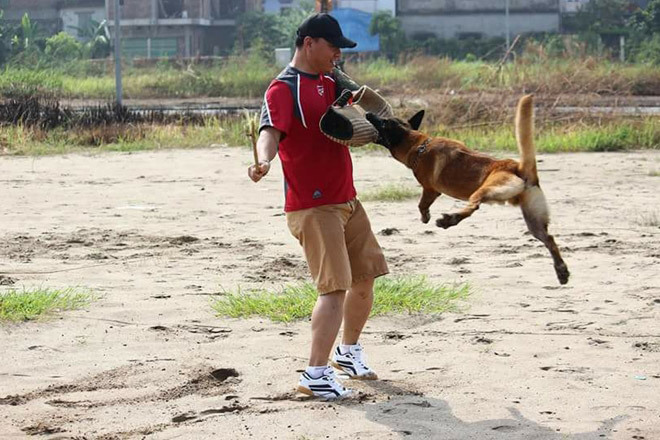 Hốt bạc nghề dạy thú cưng