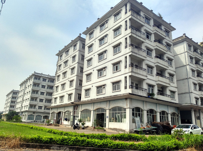 Chung cư bỏ hoang 10 năm, cây cỏ mọc như 'rừng' giữa Hà Nội