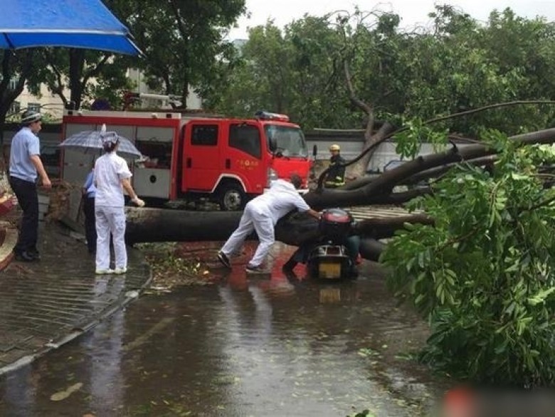 Xuất hiện vùng xoáy có thể mạnh thành bão đổ bộ vào TP.HCM