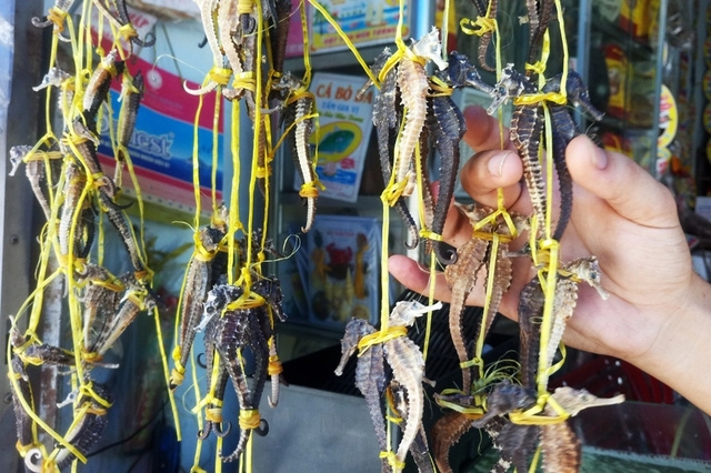 Những đặc sản được ví như 'thần dược' chốn phòng the ở Việt Nam