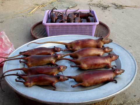 Đặc sản thịt chuột của người Hà Nội