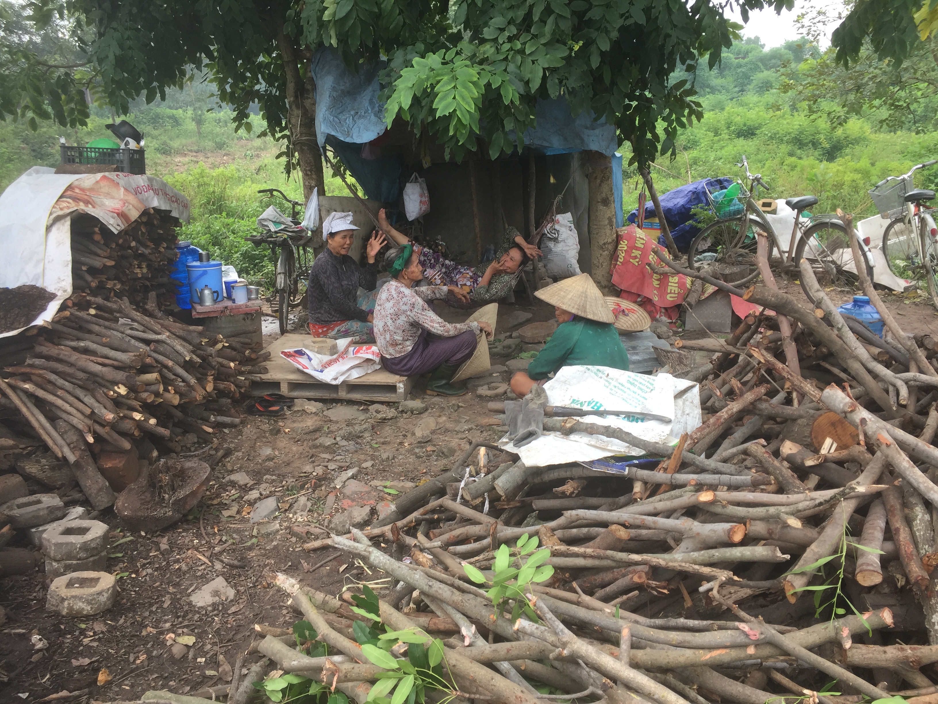 Những 'tiều phu' mưu sinh ở Sài Gòn