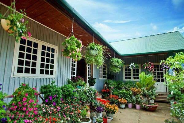 Mê mẩn ngôi nhà hoa hồng đẹp như cổ tích trên cao nguyên đá Hà Giang