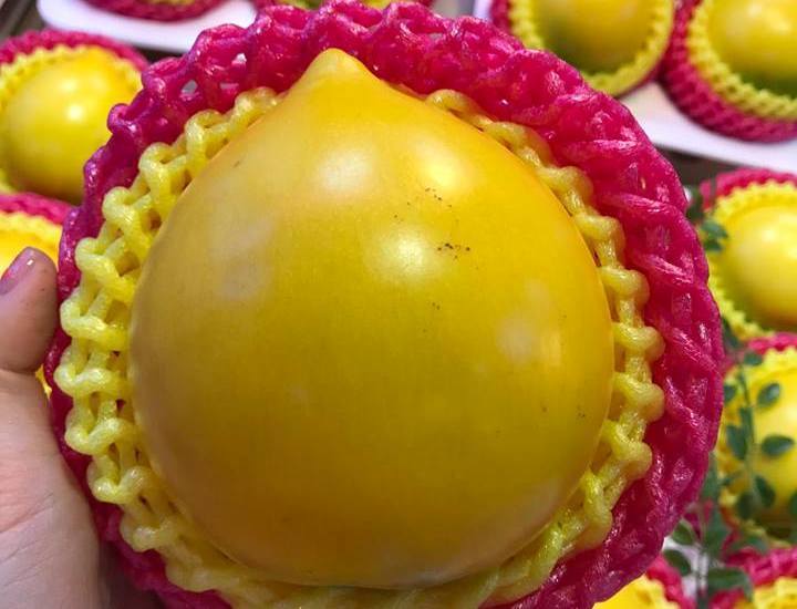 Vú sữa vàng ươm: Lạ mắt giá chát 350 ngàn/quả