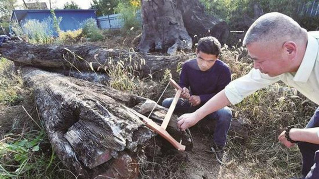 Vớt khúc gỗ trôi sông, bất ngờ được báu vật 70 tỷ đồng