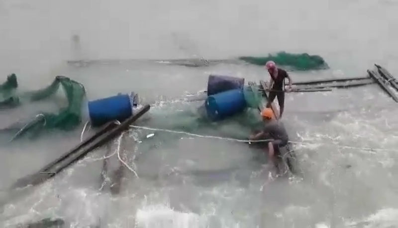 Bão số 12: Đảo Lý Sơn ảnh hưởng nặng