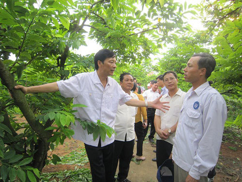 2017: Quảng Ninh sẽ có hơn 1.800 hộ thoát nghèo