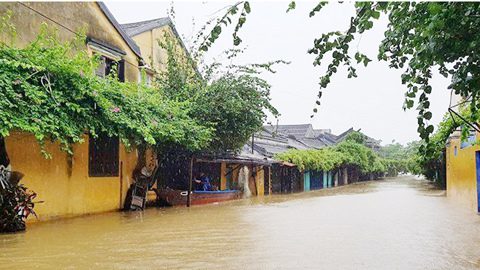 Lũ tiệm cận đỉnh lịch sử hơn 50 năm