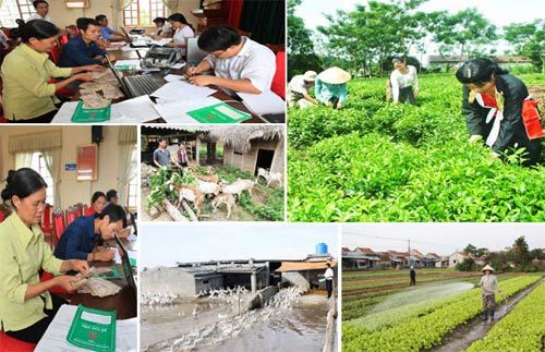 Tín dụng ưu đãi giúp dân Gia Lai thoát nghèo