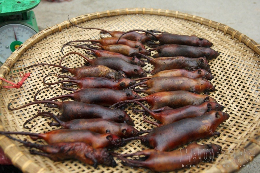 Hà Nội vào mùa thịt chuột: Đổ về Thạch Thất nhậu đặc sản