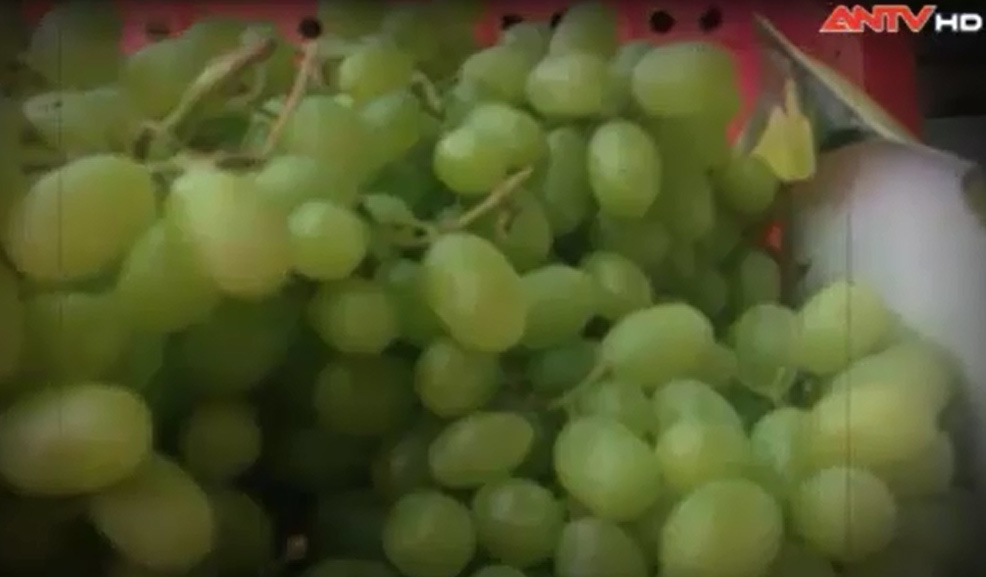 Hoa quả tươi hàng tháng trời nhờ tẩm ướp