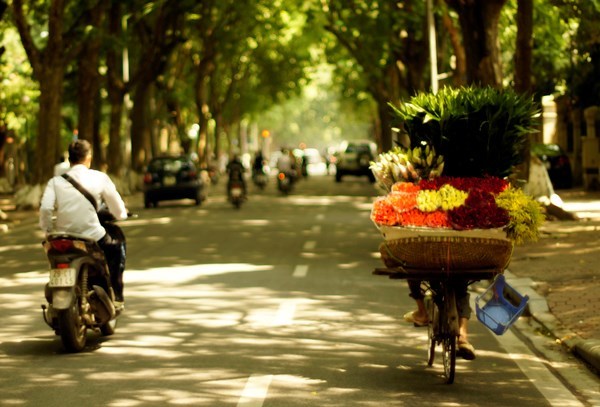 Dự báo thời tiết 12/11: Bão số 13 yếu dần, miền Bắc nắng dịu