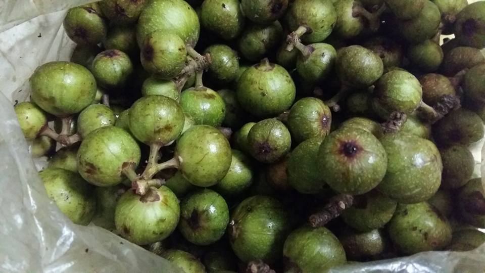 Bịch sung xanh tặng cô giáo của cậu học trò lớp 1