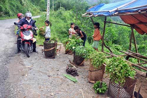 Bí thư Nguyễn Thiện Nhân bàn giải pháp thoát nghèo cho nông thôn-miền núi