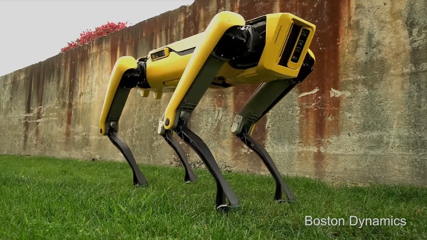 Chú chó robot không đầu đang khuấy đảo cộng đồng mạng