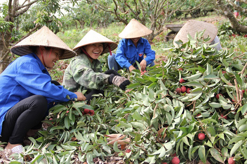 2020: 35.000 hộ dân Bắc Giang thoát nghèo
