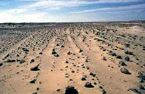 Bí ẩn vùng đất vô chủ rộng hàng nghìn cây số vuông