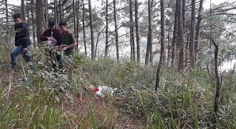 Người đàn ông chết trên đồi thông vắng cạnh chai thuốc sâu