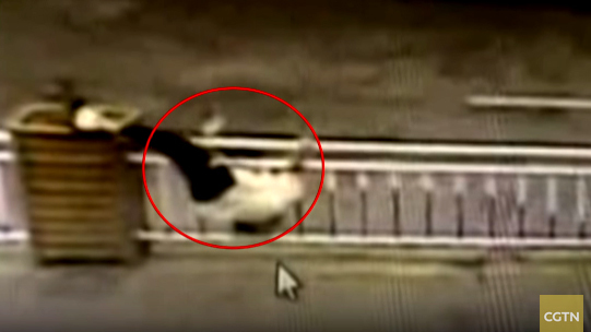 Liều lĩnh trèo qua rào chắn, người phụ nữ gặp tai nạn bất ngờ