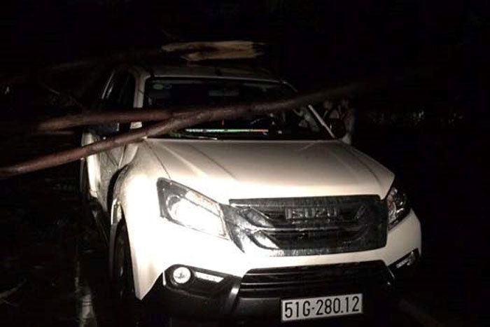 Sài Gòn mưa lớn, cây xanh bật gốc trước bão số 14 sắp đổ bộ