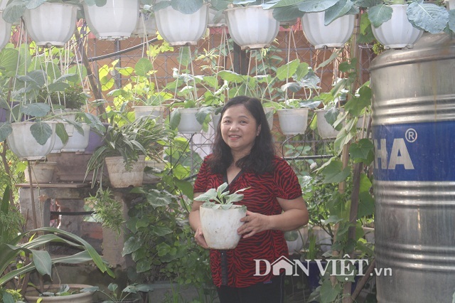 Khu vườn treo 'vạn người mê' tại tầng 4 của cô giáo Hà Nội