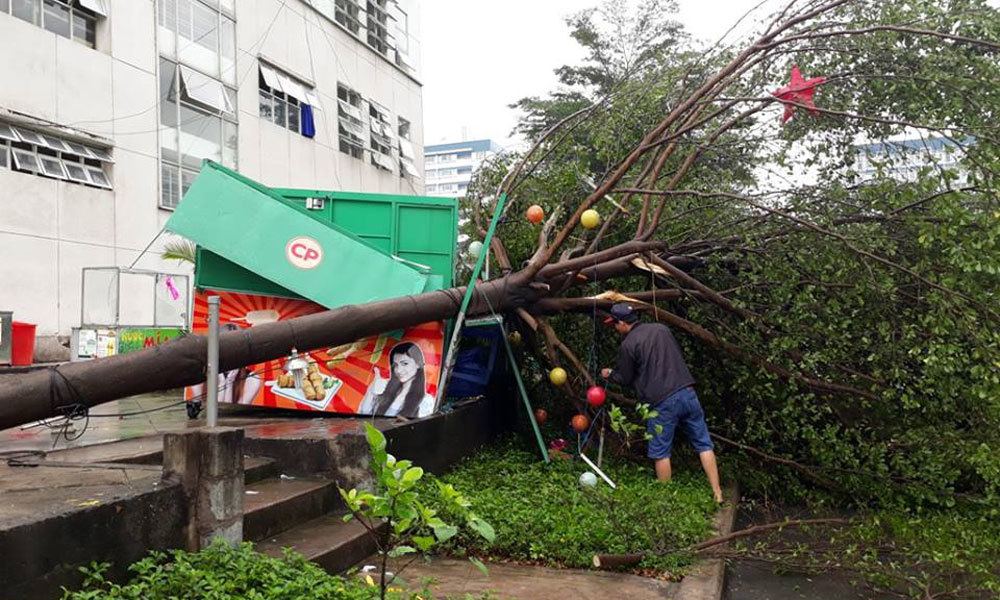 Bão số 14: Sài Gòn ngổn ngang sau đêm chịu 'cuồng phong'
