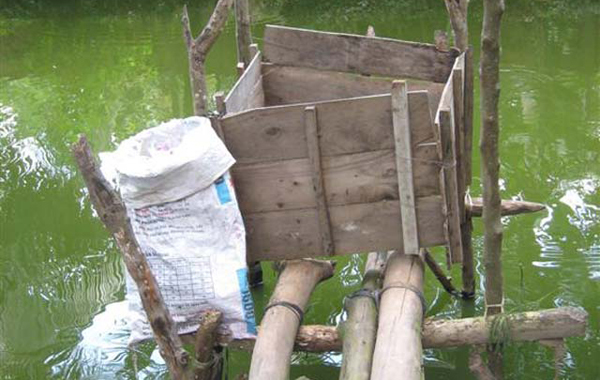 90% nước thải nhà vệ sinh VN xả thẳng ra môi trường