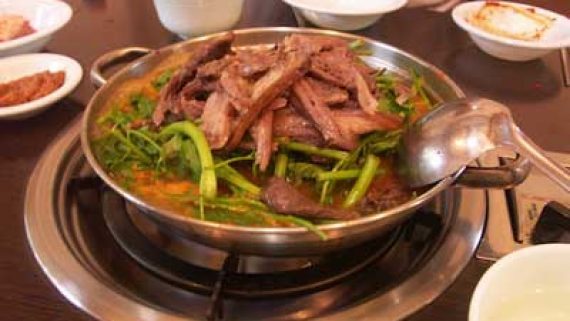Chó ngao Tây Tạng 30 tỷ thành món ăn trong nồi lẩu: Đại gia khóc ròng