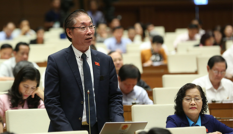 Gia cố lò để củi to nhỏ, ướt khô đều phải cháy