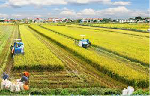 2018, thêm 3.300 xã đạt chuẩn nông thôn mới