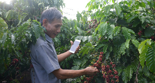 20 năm, Internet về từng ngõ ngách thôn bản