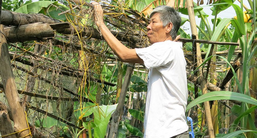 ‘Đốt nạng’ sau 6 năm tưởng vĩnh viễn tàn phế