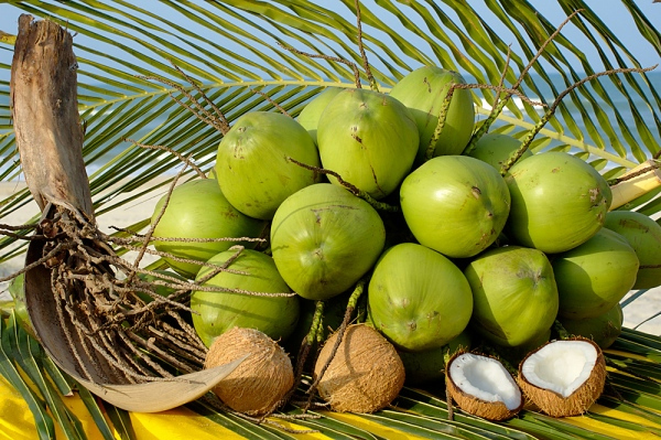 Mẹo tuyệt hay, dễ thực hiện, đẩy lùi bệnh gút trong 7 ngày