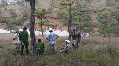 Phát hiện người đàn ông treo cổ trên cây thông ở Đà Lạt