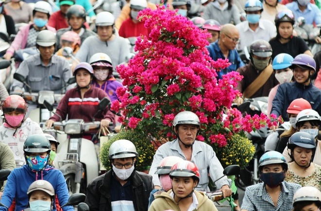 Bỏ lệ chúc tết lãnh đạo: Khi Thủ tướng và thành viên Chính phủ làm gương