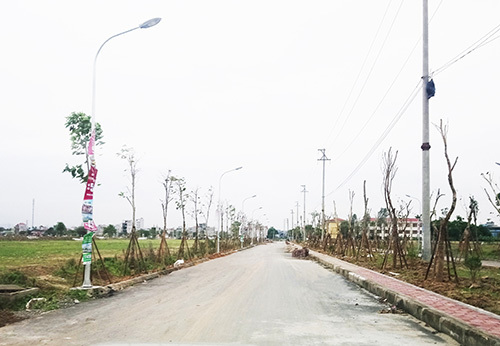 TNR Stars Đồng Văn dần lộ diện