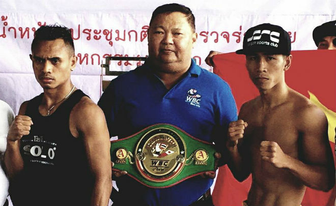 Hạ knock-out, Trần Văn Thảo đi vào lịch sử boxing Việt Nam
