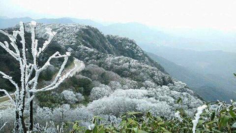 Cận 0 độ, đỉnh Phia Oắc ở Cao Bằng đông cứng băng tuyết