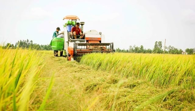 Phát triển ĐBSCL: Tốn tiền tỉ mà trái quy luật thì trả giá đắt