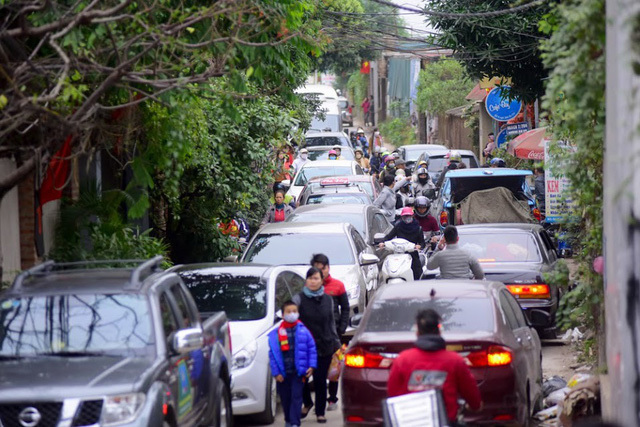 Hàng nghìn người đổ về chụp ảnh, vườn cúc họa mi “vỡ trận” vì tắc nghẽn