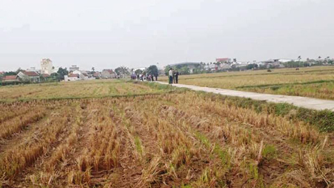 Phát hiện xác cô gái trong cống nước ở Nam Định