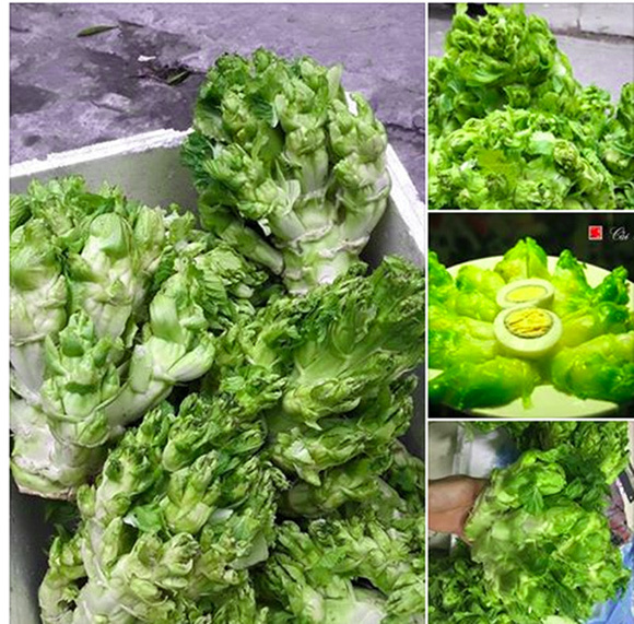 Cải mầm đá Sapa đắt như thịt: Coi chừng hàng Tàu đội lốt