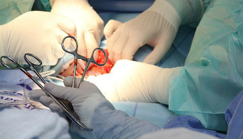 Đứt dương vật, dập nát tinh hoàn do máy sục khí nuôi tôm