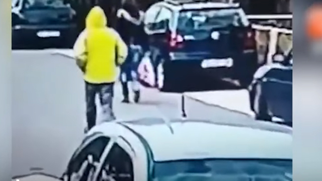 Lao vào tấn công tên cướp, chú chó giải cứu cô gái giữa đường