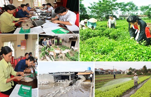 Đẩy mạnh giảm nghèo thông tin ở nhiều địa phương
