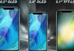 iPhone 2018 giá rẻ sẽ dùng màn hình LCD, lưng bằng kim loại