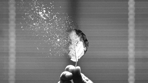 Viết cho người đã xa vào một ngày nước mắt rơi nhiều nhất